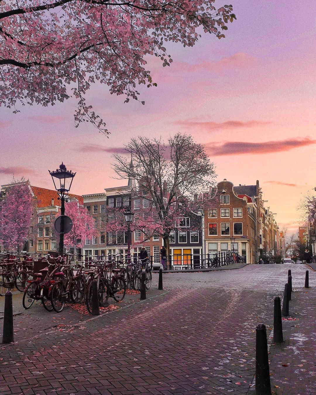 Amsterdam canal belt: the iconic narrow canal houses and arched bridges of the UNESCO World Heritage Site Grachtengordel