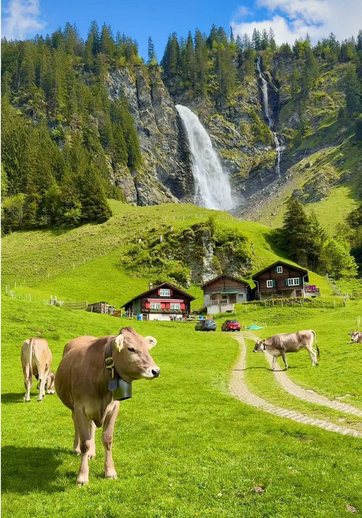 The Salzkammergut lake district in Austria near Salzburg, with turquoise alpine lakes and limestone mountains