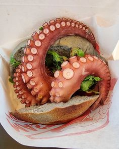 A terracotta pot of octopus cooked slowly with tomatoes and herbs, the traditional polpo alla pignata of Bari