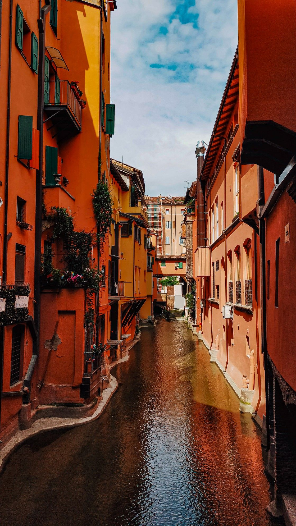 The Quadrilatero market district in Bologna: the ancient network of streets where the finest food in Italy has been sold for centuries