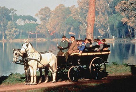 Oasi di Porto wetland: a surprising biodiversity hotspot minutes from the runway at Rome Fiumicino Airport