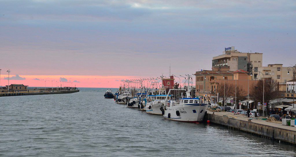 The fishing port of Fiumicino, where the boats of the local fleet unload their catch every day