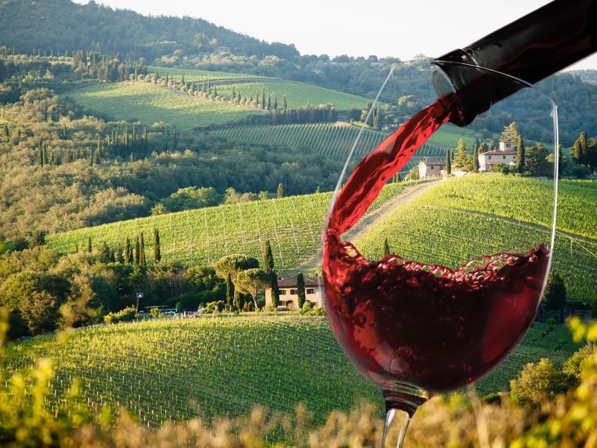 The rolling hills of the Chianti Classico region, covered with Sangiovese vineyards and cypress trees