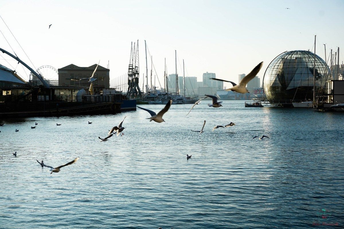 The ancient port of Genoa with the Aquarium and the Bigo panoramic lift, the maritime heart of La Superba