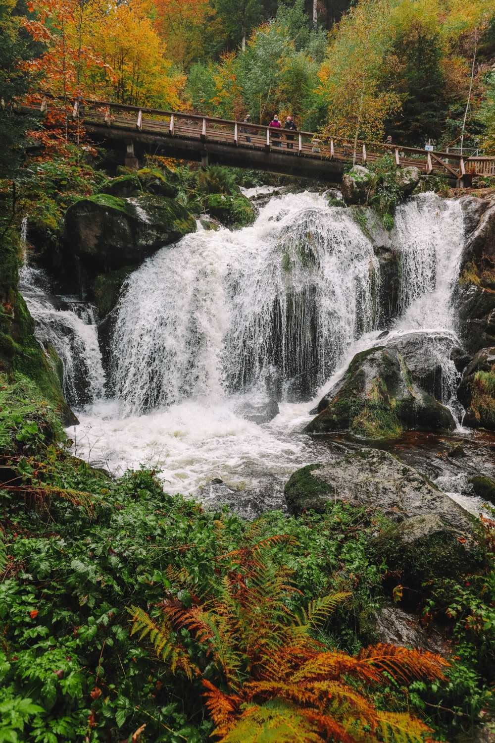 The dense, ancient forests and rolling green valleys of the Schwarzwald, the Black Forest of Baden-Württemberg in southwestern Germany