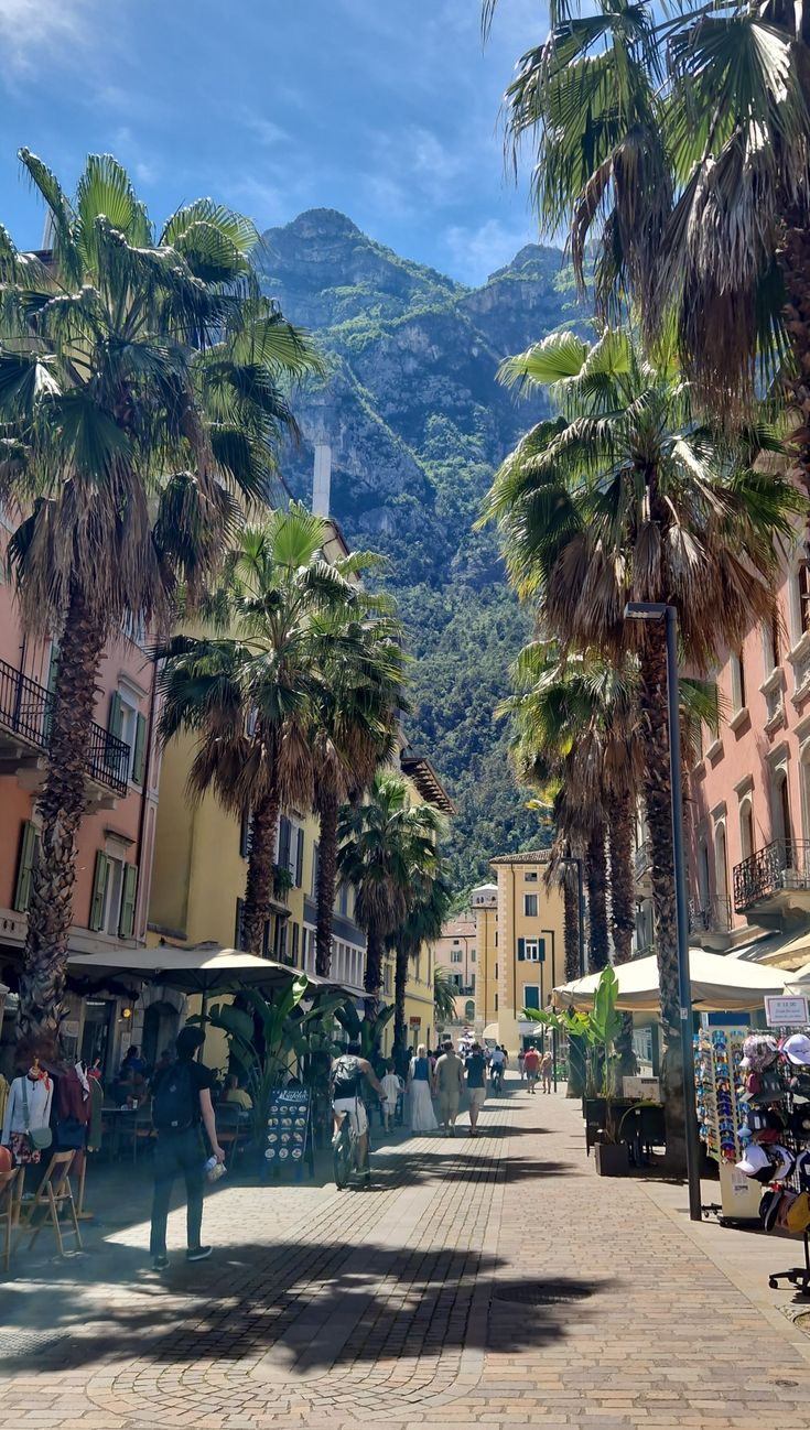 A traditional agriturismo farmhouse in the hills above Lake Garda, surrounded by olive trees and autumn colours.