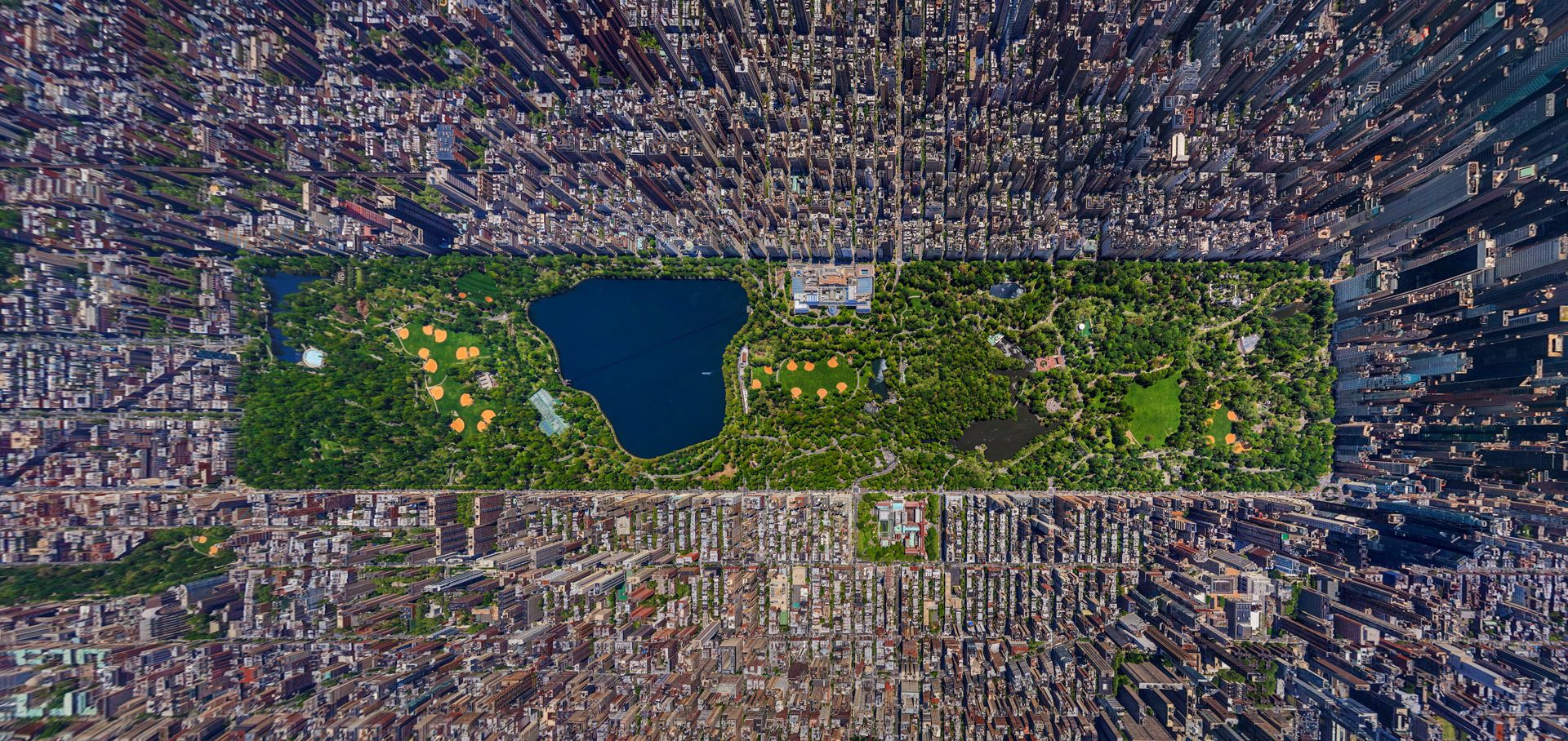 Central Park in New York City, one of the urban green spaces sampled as part of the PathoMap project alongside the subway system, parks and waterways