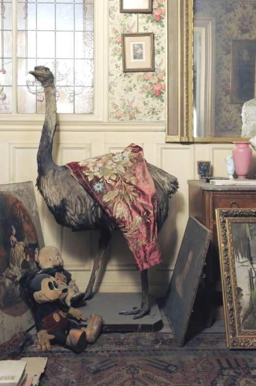The dusty but perfectly preserved interior of the de Florian apartment in Paris, frozen in time since 1942.