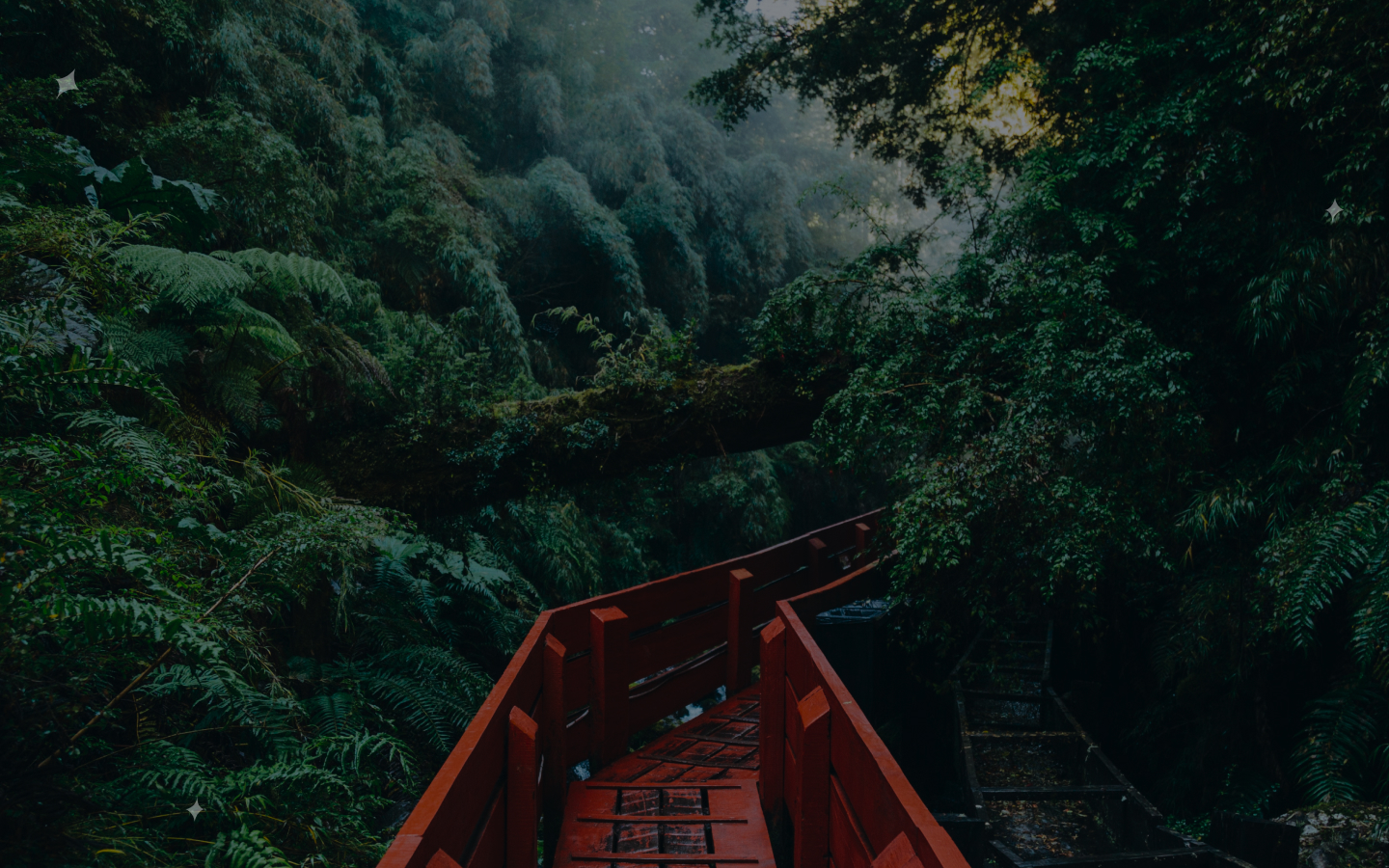 The Amazon Rainforest canopy — the most biodiverse ecosystem on Earth