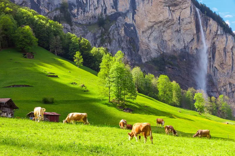 The Swiss Alps and traditional Alpine villages of Switzerland