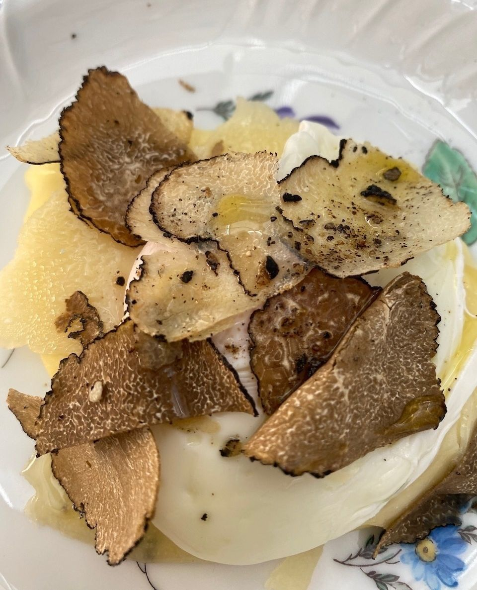 A freshly unearthed white truffle from the forests of San Miniato — the diamond of the Tuscan kitchen