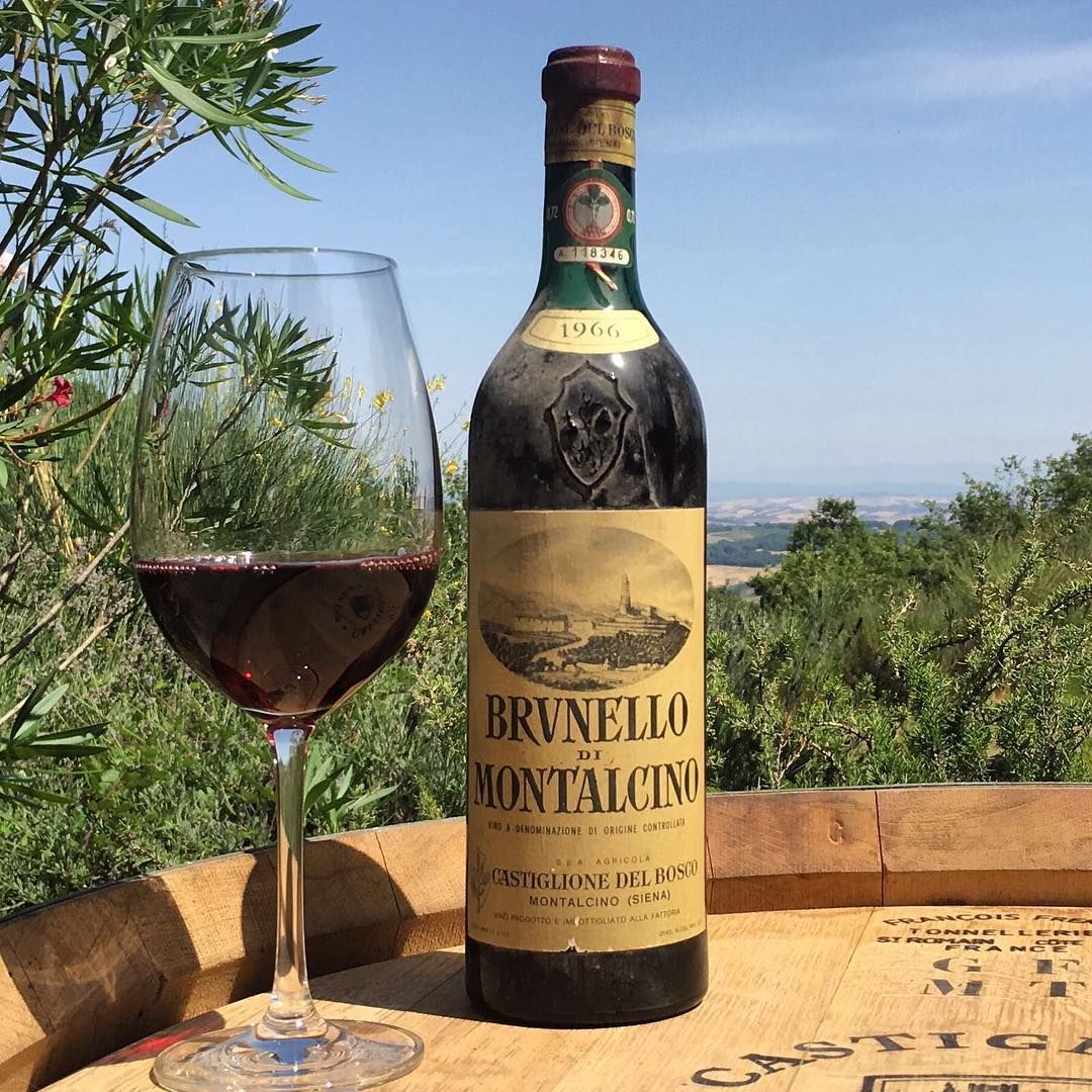 Brunello di Montalcino vineyards in autumn — the Sangiovese Grosso grapes ready for harvest