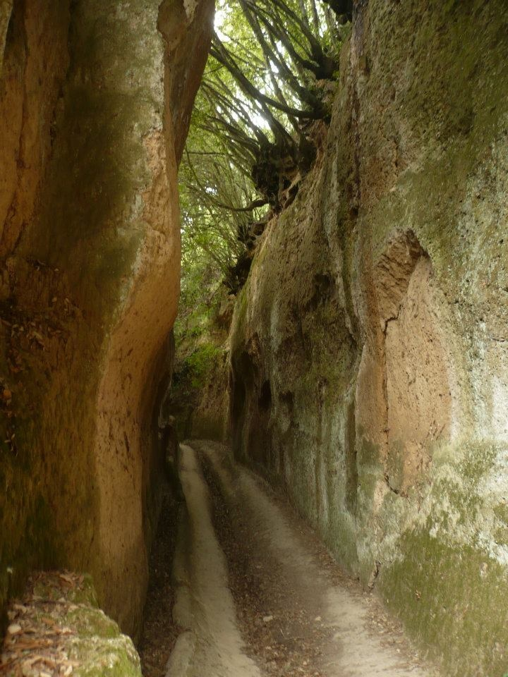 Via cava near Sovana in Tuscany: the extraordinary Etruscan sunken roads cut into volcanic tufa rock