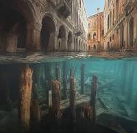 The wooden piles that form the foundation of Venice, millions of tree trunks driven into the lagoon bed and mineralised over centuries
