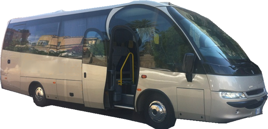 Daewoo Bus Luxury VIP 26 seat